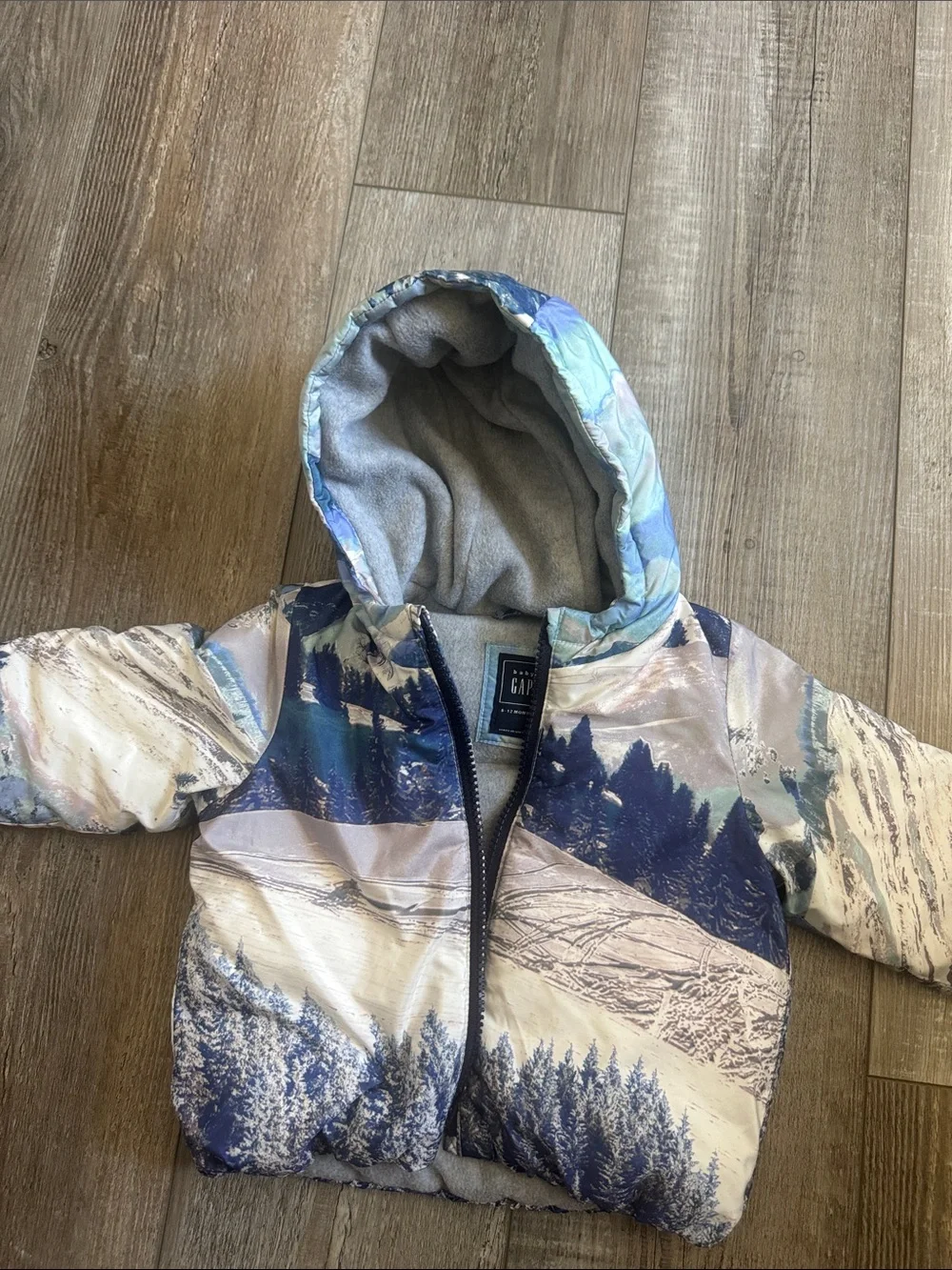 GAP Hooded Puffer Jacket in Blue Scenic Print
